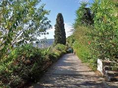 183 HYERES ET SES PALMIERS D01_000010